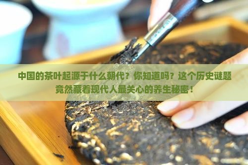 中国的茶叶起源于什么朝代