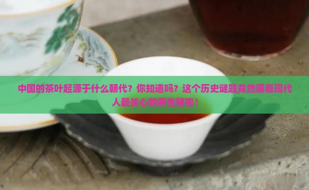 中国的茶叶起源于什么朝代