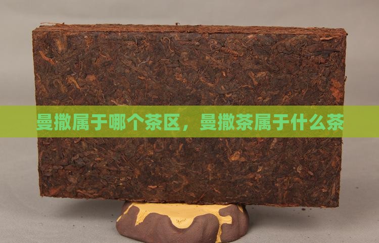 曼撒属于哪个茶区