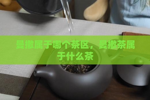 曼撒属于哪个茶区