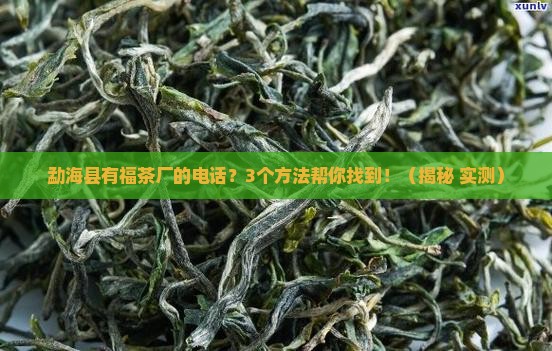 勐海县有福茶厂的电话