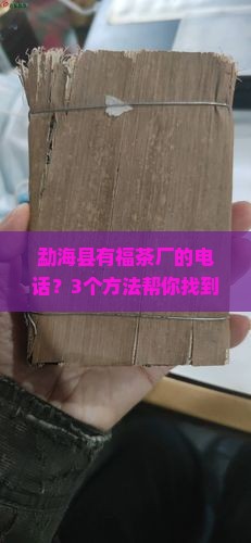 勐海县有福茶厂的电话