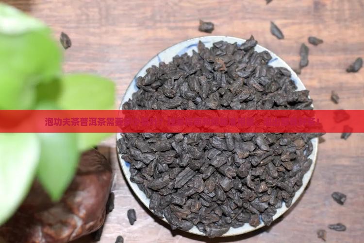 泡功夫茶普洱茶需要多少茶叶