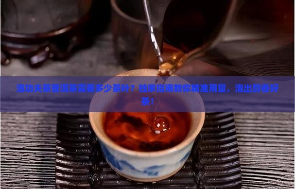 泡功夫茶普洱茶需要多少茶叶