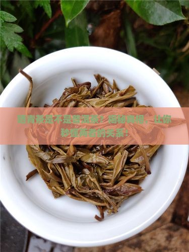 晒青茶是不是普洱茶