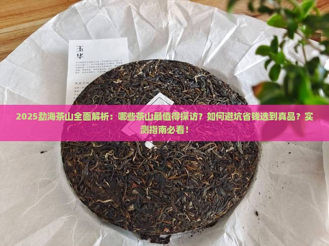 勐海有些什么茶山