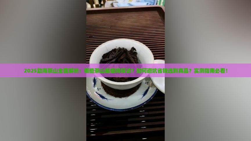 勐海有些什么茶山