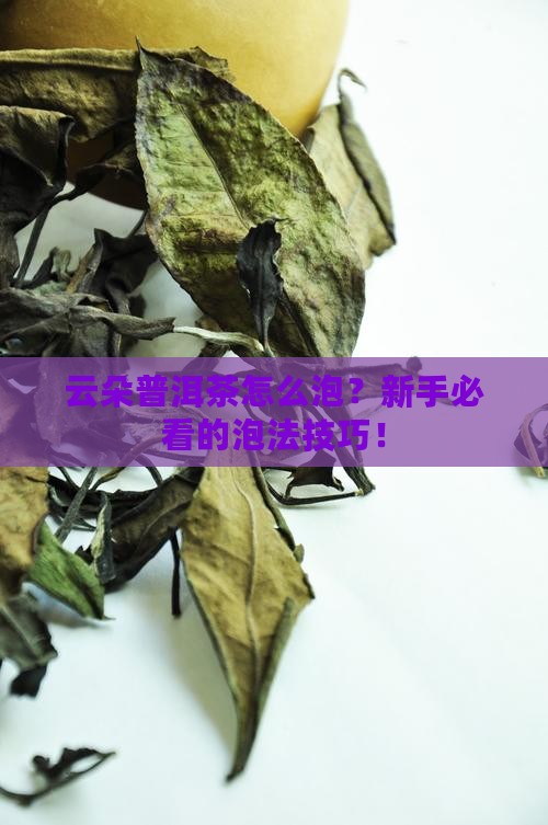 云朵普洱茶泡法