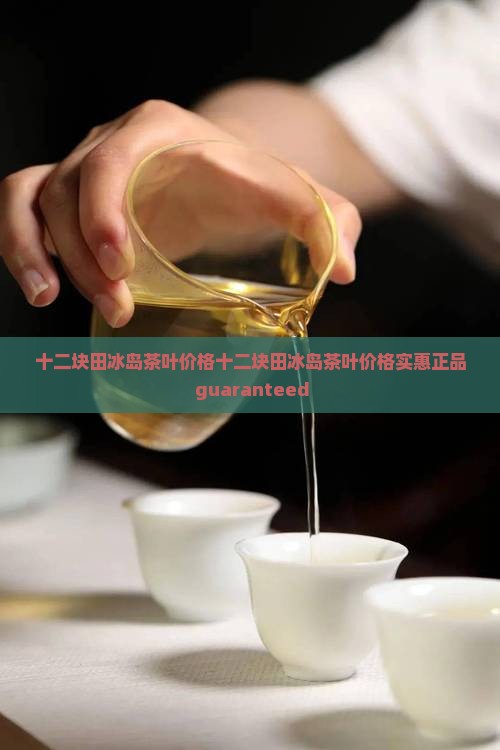 十二块田冰岛茶叶价格
