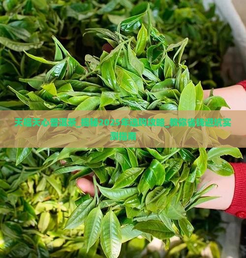 天福天心普洱茶