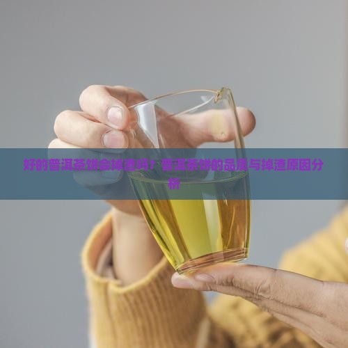 好的普洱茶饼会掉渣吗为什么