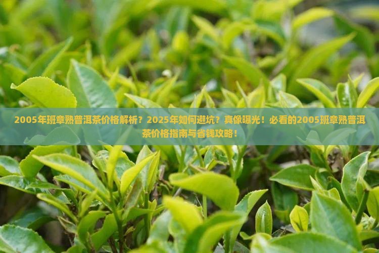 2005年班章熟普洱茶价格