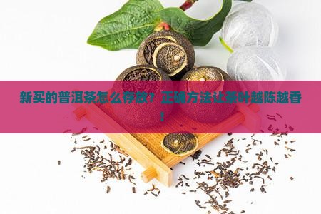 新买的普洱茶怎么存放