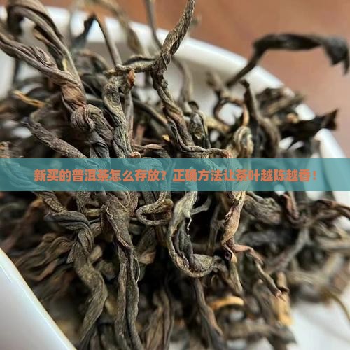 新买的普洱茶怎么存放