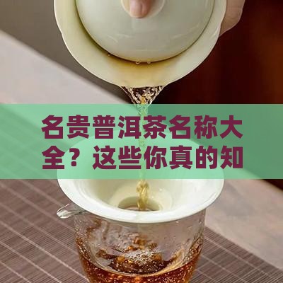 名贵普洱茶名称大全