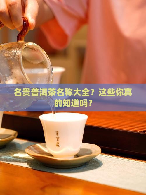 名贵普洱茶名称大全