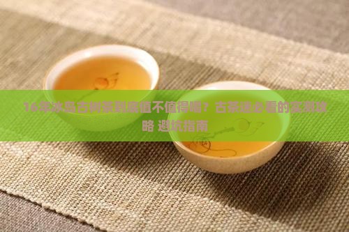 16年冰岛古树茶