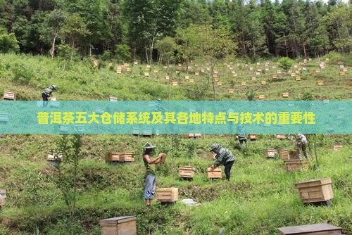 普洱茶五大仓储系统