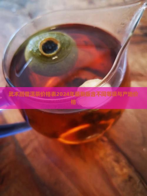 武术班普洱茶价格表