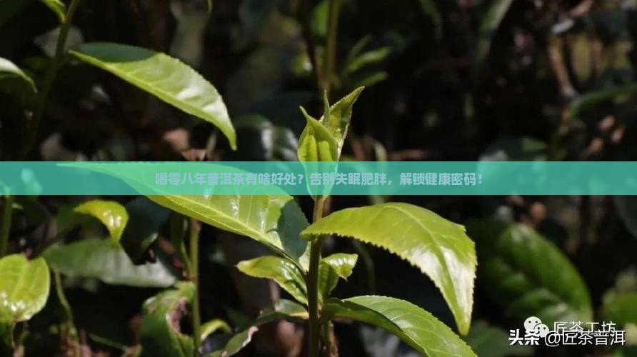 喝零八年普洱茶有啥好处