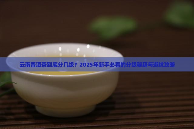 云南普洱茶级别