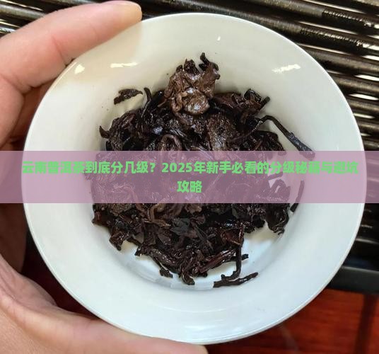 云南普洱茶级别