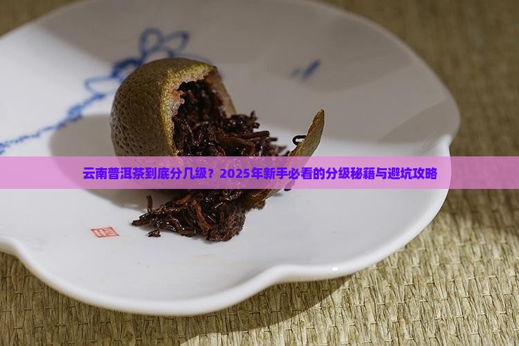云南普洱茶级别