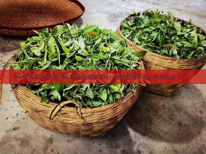 普洱茶直接泡了喝吗