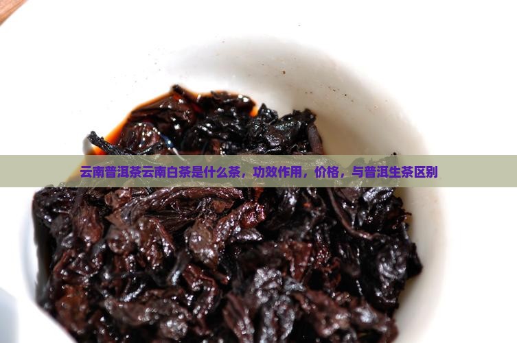 云南普洱茶云南白茶