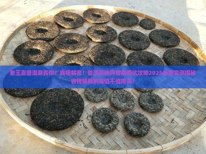 老王卖普洱茶养你