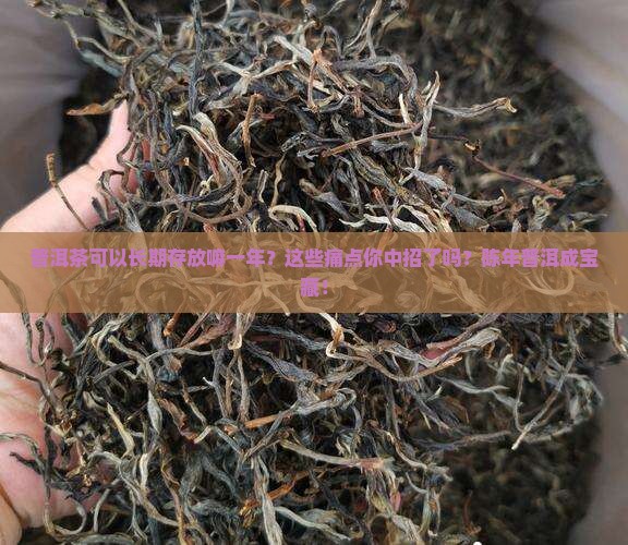普洱茶可以长期存放嘛一年