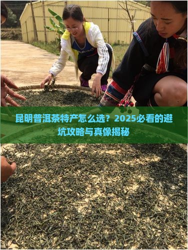 昆明普洱茶特产介绍简短