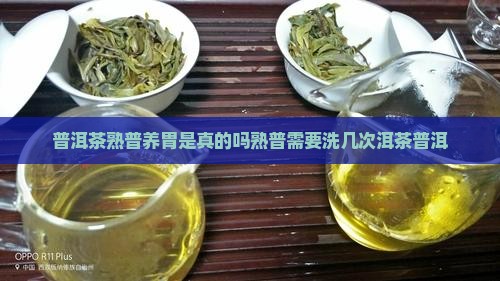 熟普养胃是真的吗熟普需要洗几次