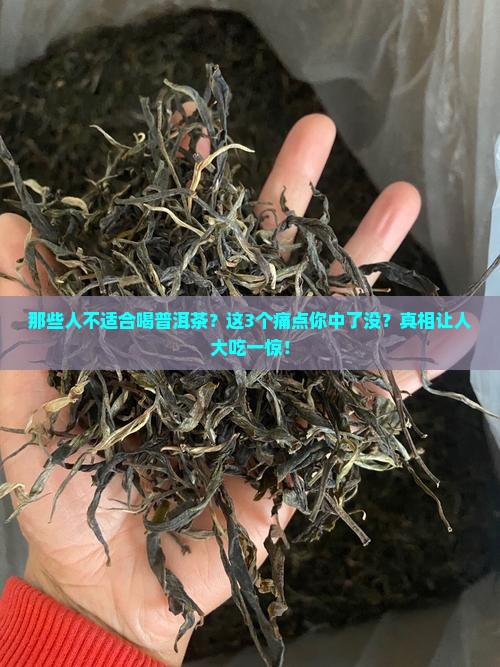 那些人不适合喝普洱茶