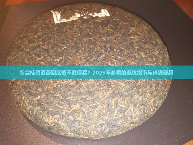 新会桔普洱茶的价格