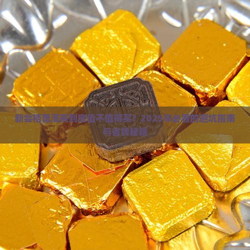 新会桔普洱茶的价格