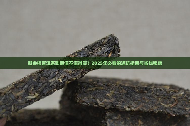 新会桔普洱茶的价格