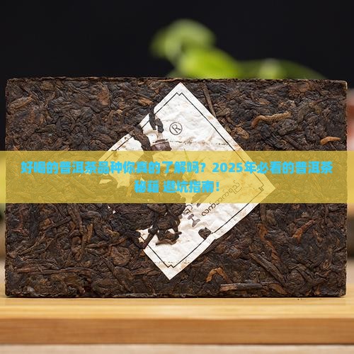好喝的普洱茶品种大全