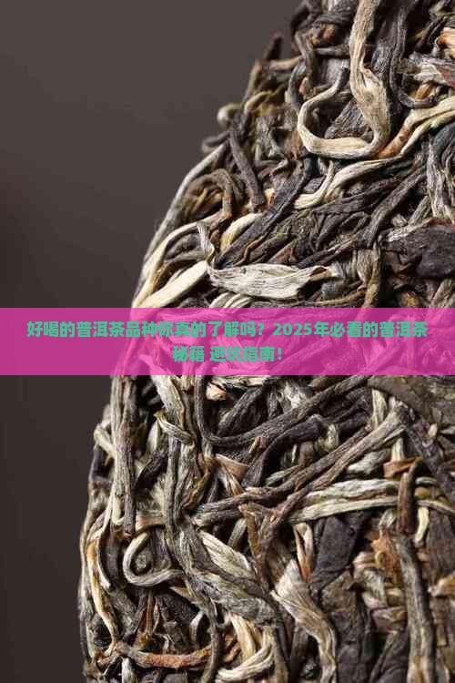 好喝的普洱茶品种大全