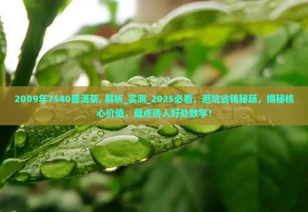2009年7540普洱茶
