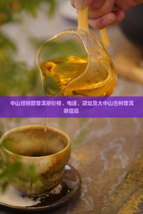 中山经销部普洱茶