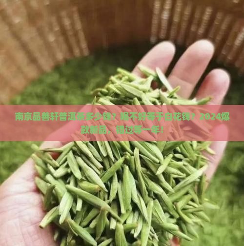 南京品善轩普洱茶多少钱