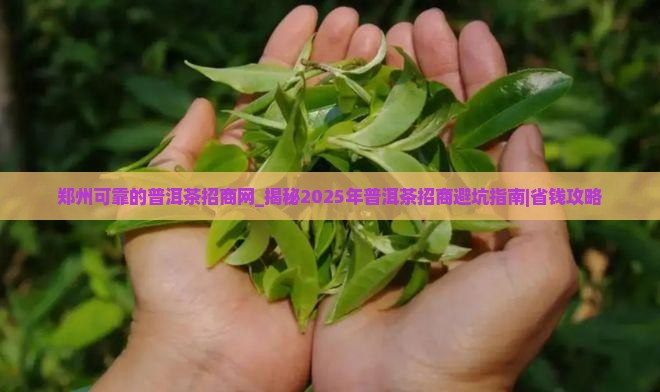 郑州可靠的普洱茶招商网