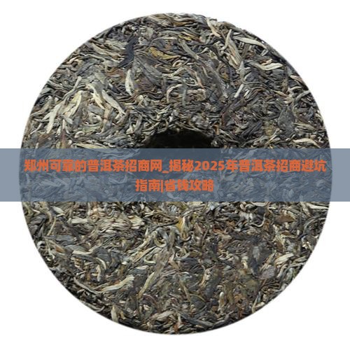 郑州可靠的普洱茶招商网