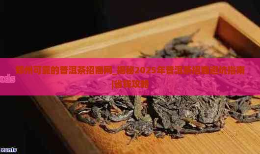 郑州可靠的普洱茶招商网