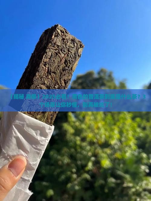 黑色的普洱茶是什么茶