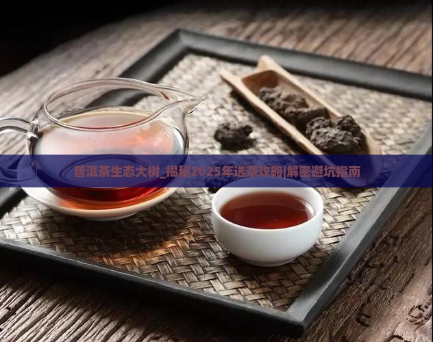 普洱茶生态大树