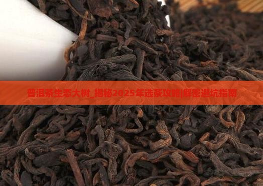普洱茶生态大树