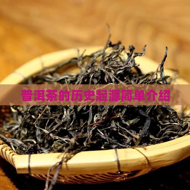 普洱茶的历史起源简单介绍