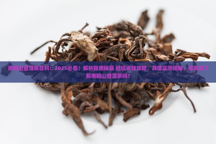 南糯山普洱茶百科